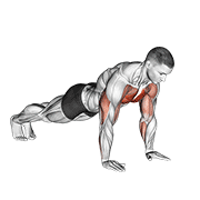 Plyo Push Up animated exercise demonstration