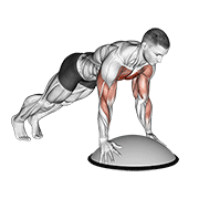 Push Up On Bosu Ball animated exercise demonstration