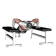 Weighted Drop Push Up animated exercise demonstration