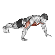 Wide Hand Push Up animated exercise demonstration