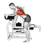 Lever Unilateral Row animated exercise demonstration