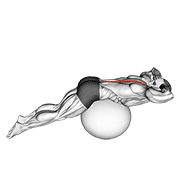 Back Extension On Exercise Ball animated exercise demonstration