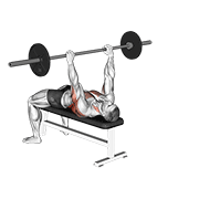 Barbell Bent Arm Pullover animated exercise demonstration