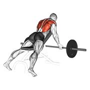 Barbell Reverse Grip Incline Bench Row animated exercise demonstration