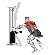 Cable Incline Bench Row animated exercise demonstration