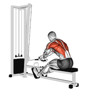 Cable Rope Crossover Seated Row animated exercise demonstration