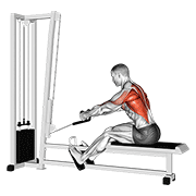 Cable Rope Elevated Seated Row animated exercise demonstration