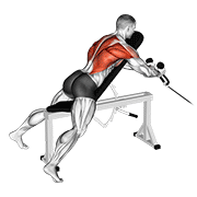 Cable Rope Extension Incline Bench Row animated exercise demonstration