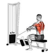 Cable Upper Row animated exercise demonstration