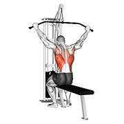 Cable Wide Grip Rear Pulldown Behind Neck animated exercise demonstration