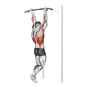 Underhand bodyweight chin-up demonstration showing clean form from extended hang to chin clearing the bar