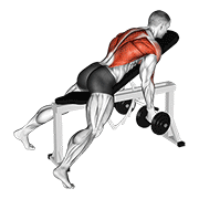 Dumbbell Lying Rear Delt Row animated exercise demonstration