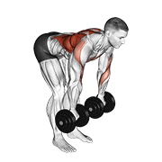 Dumbbell Palm Rotational Bent Over Row animated exercise demonstration