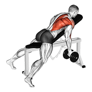 Dumbbell Reverse Grip Incline Bench One Arm Row animated exercise demonstration