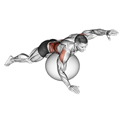 Exercise Ball Alternating Arm Ups animated exercise demonstration
