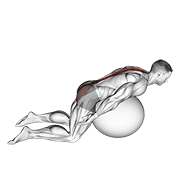 Exercise Ball Back Extension With Arms Extended animated exercise demonstration