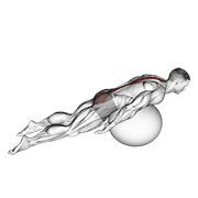 Exercise Ball Back Extension With Knees Off Ground animated exercise demonstration