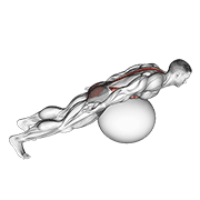 Exercise Ball Back Extension With Rotation animated exercise demonstration