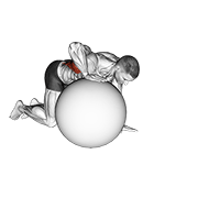 Exercise Ball Lat Stretch animated exercise demonstration