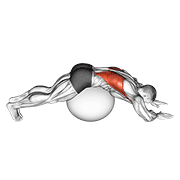 Exercise Ball Lower Back Stretch (Pyramid) animated exercise demonstration