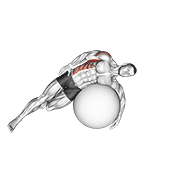 Exercise Ball Lying Side Lat Stretch animated exercise demonstration