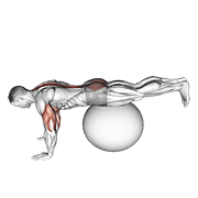 Exercise Ball Prone Leg Raise animated exercise demonstration