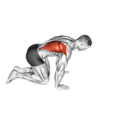Kneeling Lat Stretch animated exercise demonstration
