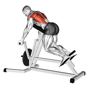 Lever Reverse T-Bar Row animated exercise demonstration