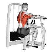 Lever Seated Row animated exercise demonstration