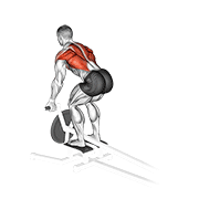 Lever T-Bar Reverse Grip Row animated exercise demonstration