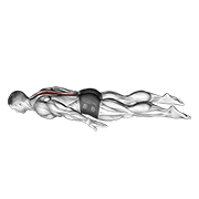Lower Back Curl animated exercise demonstration