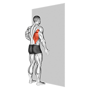 One Arm Against Wall animated exercise demonstration
