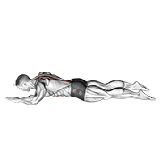 Sphinx animated exercise demonstration