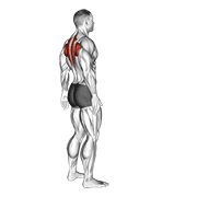 Upper Back Stretch animated exercise demonstration