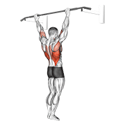 Wide Grip Rear Pull-Up animated exercise demonstration