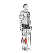 Band Two Legs Calf Raise - (Band Under Both Legs) V. 2 animated exercise demonstration