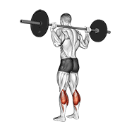 Barbell Floor Calf Raise animated exercise demonstration