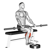 Barbell Seated Calf Raise animated exercise demonstration
