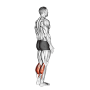 Standing calf raise demonstration showing straight knees, deep heel stretch below step, and peak plantarflexion on toes