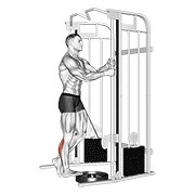 Cable Standing One Leg Calf Raise animated exercise demonstration
