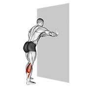 Calf Stretch With Hands Against Wall animated exercise demonstration