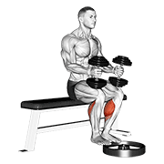 Dumbbell Seated Calf Raise animated exercise demonstration