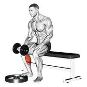Dumbbell Seated One Leg Calf Raise - Palm Up animated exercise demonstration