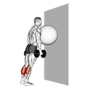 Exercise Ball On The Wall Calf Raise animated exercise demonstration