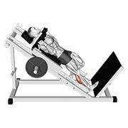 Hack One Leg Calf Raise animated exercise demonstration