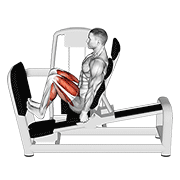 Lever Seated Squat Calf Raise On Leg Press Machine animated exercise demonstration