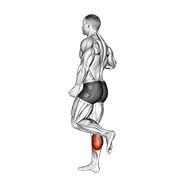 One Leg Floor Calf Raise animated exercise demonstration
