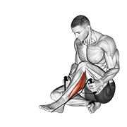 Peroneals Stretch animated exercise demonstration