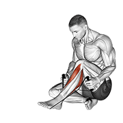 Posterior Tibialis Stretch animated exercise demonstration