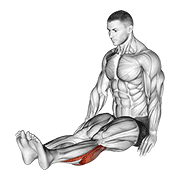 Seated Calf Stretch (Male) animated exercise demonstration